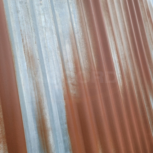 Early Rust
